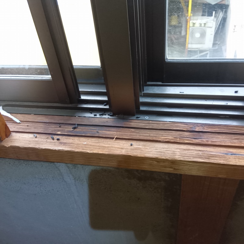 ネズミ駆除の施工事例（岐阜県中津川市）