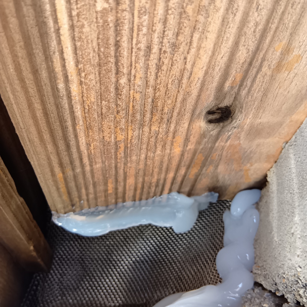 屋根のすき間を封鎖した様子