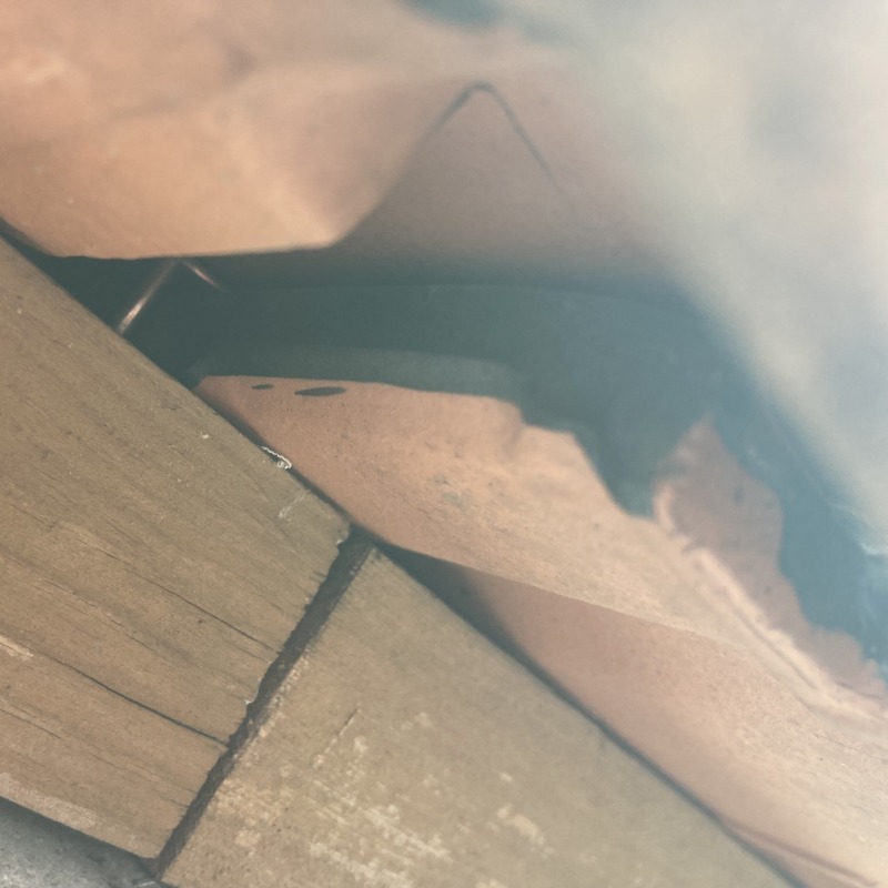 コウモリ駆除の施工事例（滋賀県東近江市春日町）