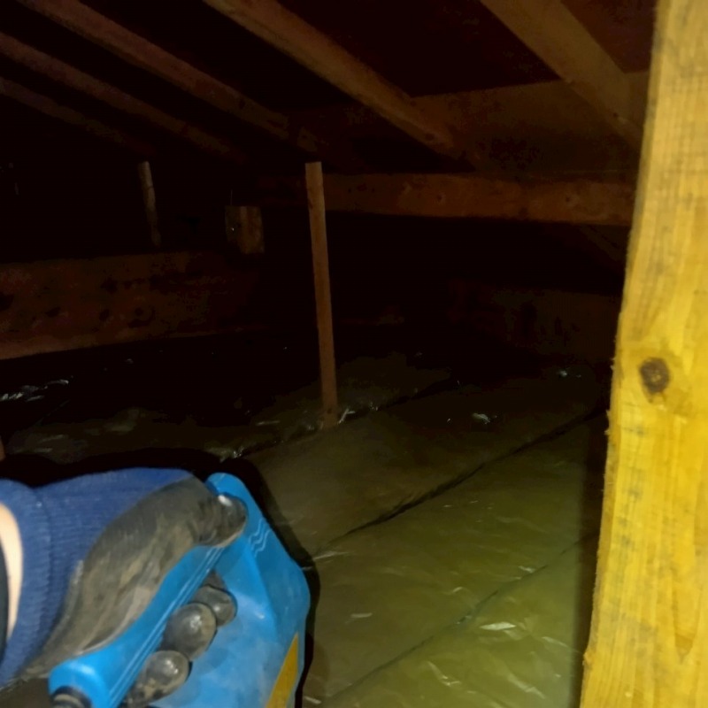 除菌・殺虫剤を散布