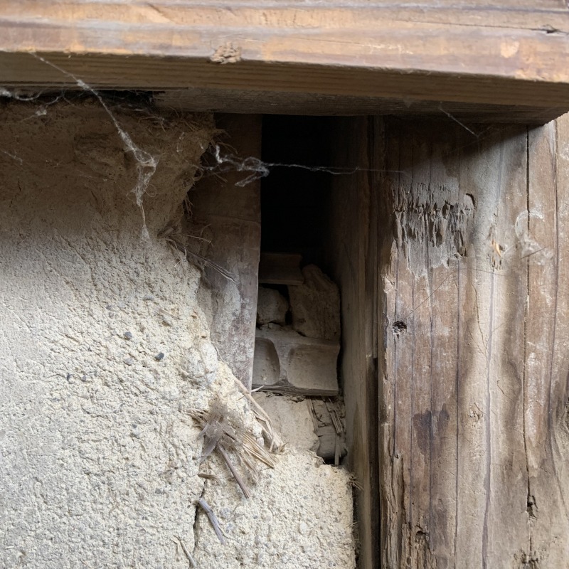 イタチ駆除の施工事例（愛知県名古屋市中川区伏屋）