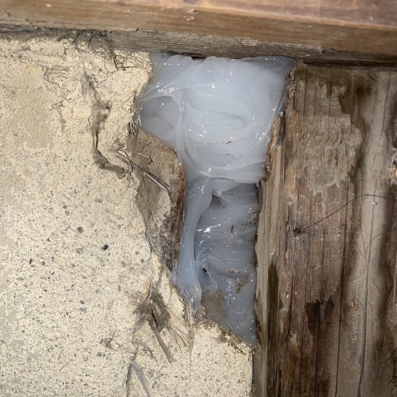 外壁の穴をふさいだ様子