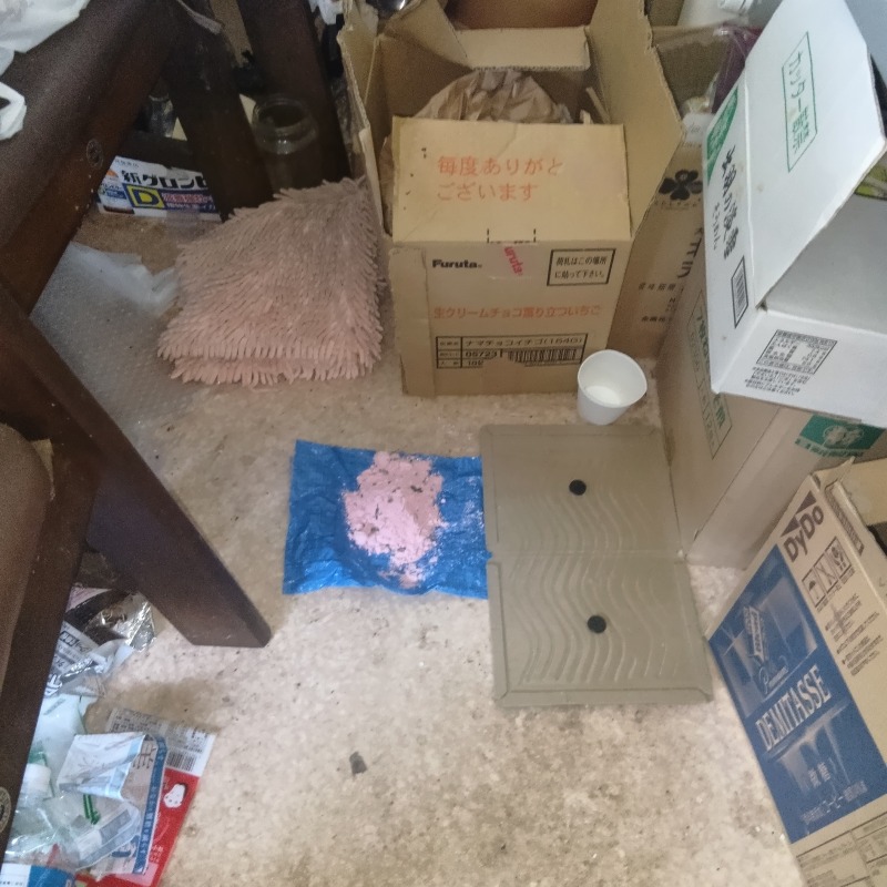 殺鼠剤と粘着シートを設置した様子