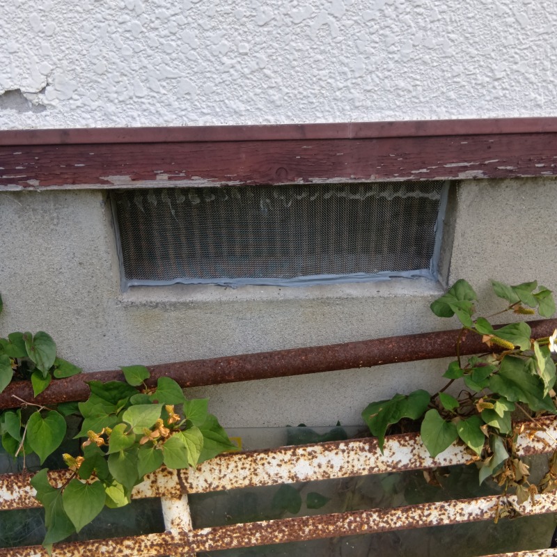 床下換気口に金網を設置