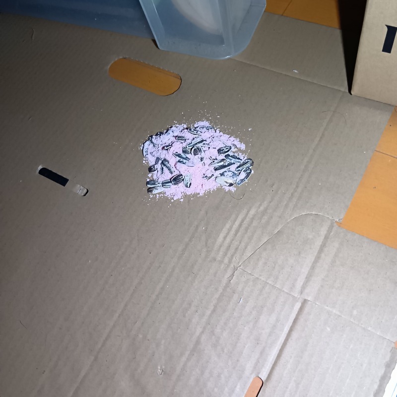 設置した殺鼠剤