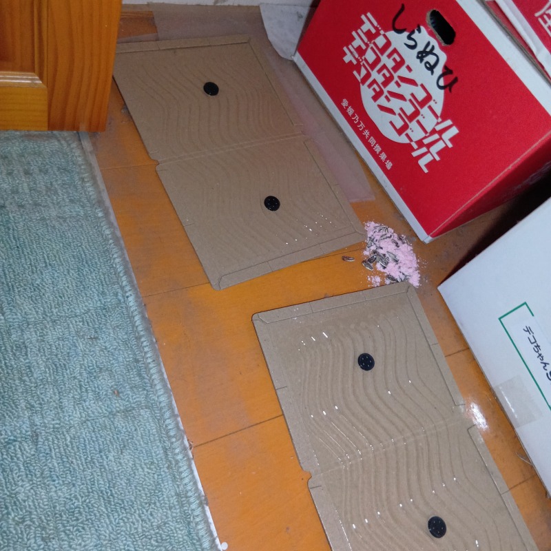 設置した粘着シート