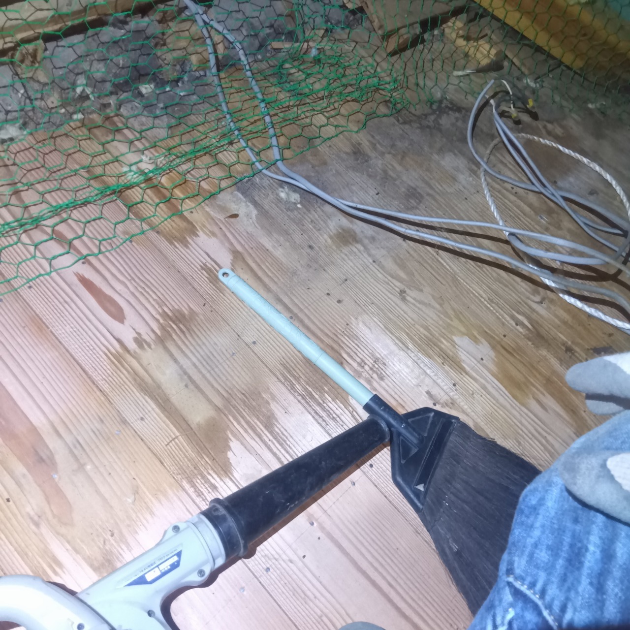 フン害清掃の様子