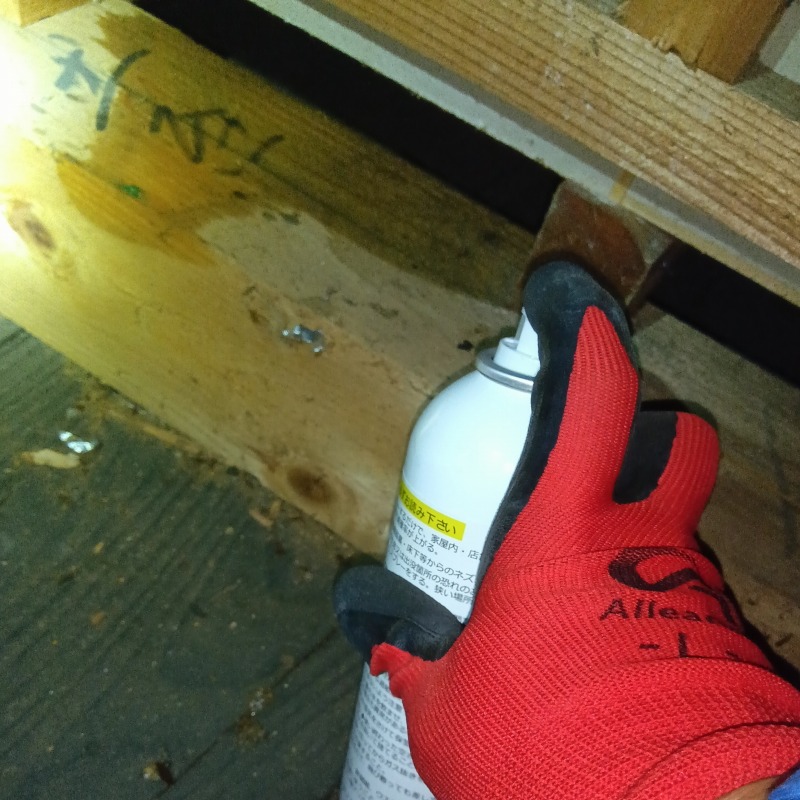 ハクビシン駆除の施工事例（山形県鶴岡市関根）