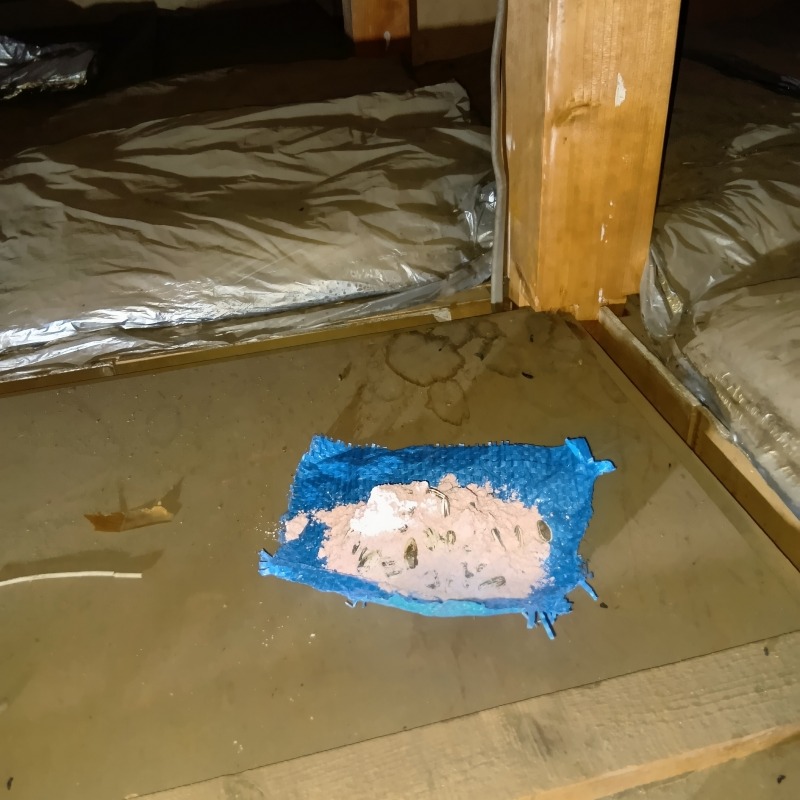 屋根裏の殺鼠剤
