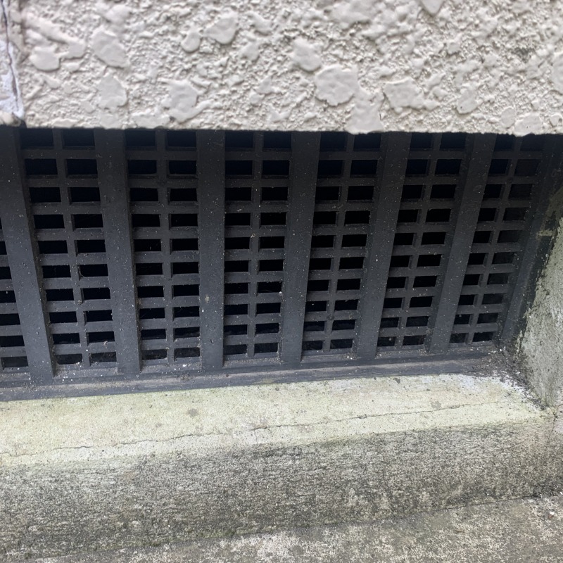 ネズミ駆除の施工事例（鹿児島県鹿児島市田上）