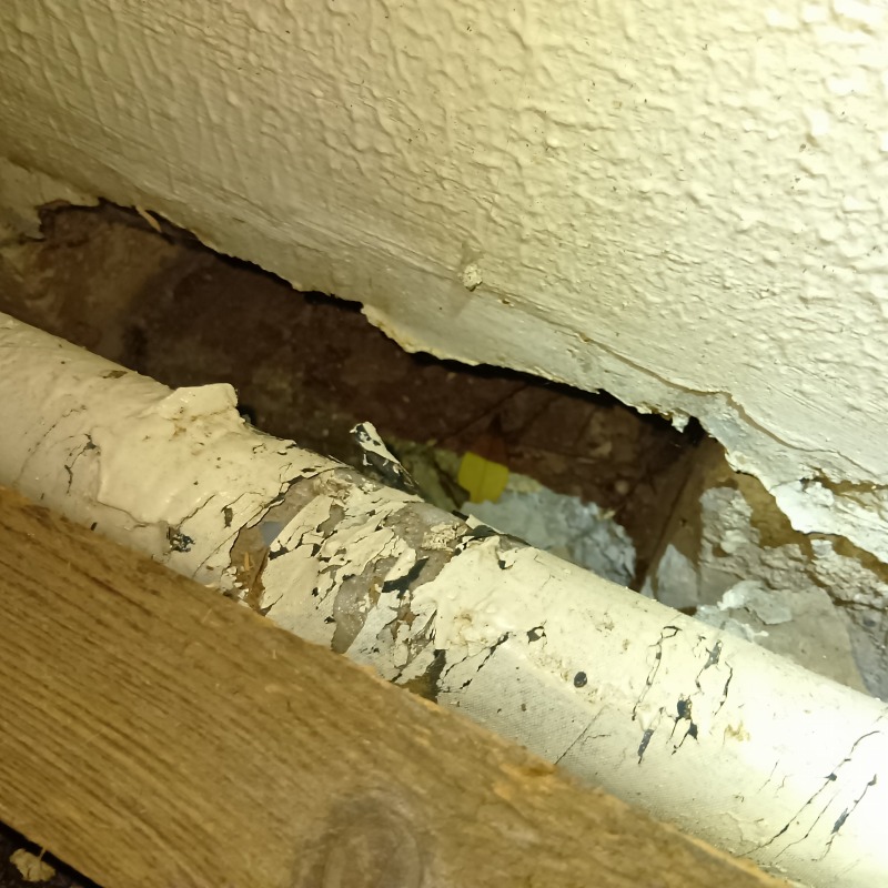 ネズミ駆除の施工事例（東京都豊島区西巣鴨）