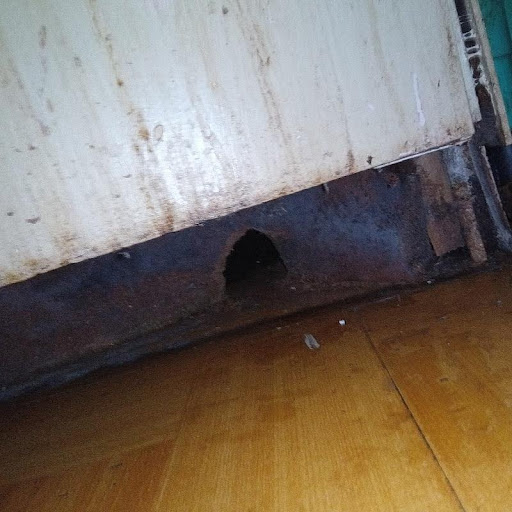 ネズミ駆除の施工事例（神奈川県相模原市南区大野台）