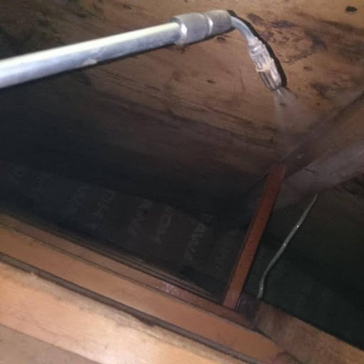 消毒剤を散布している様子