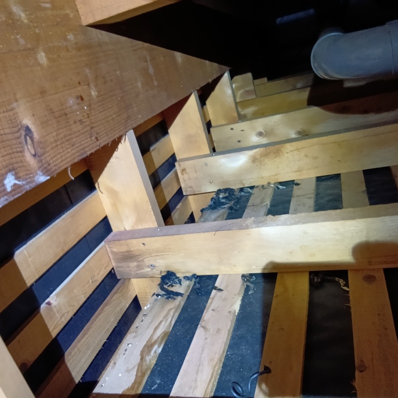 イタチ駆除の施工事例（石川県能美市上清水町）