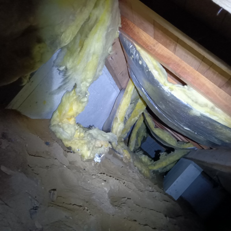 ネズミ駆除の施工事例（新潟県新潟市西区寺地）