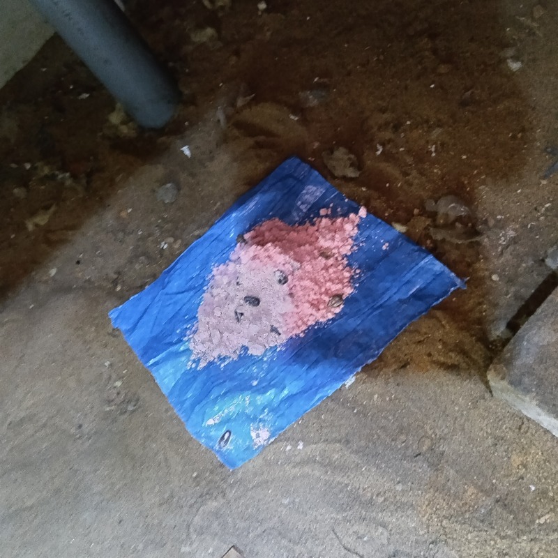 床下に設置した殺鼠剤