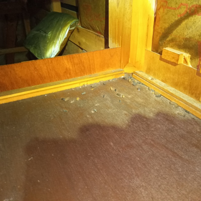 ハクビシン駆除の施工事例（静岡県富士市伝法）