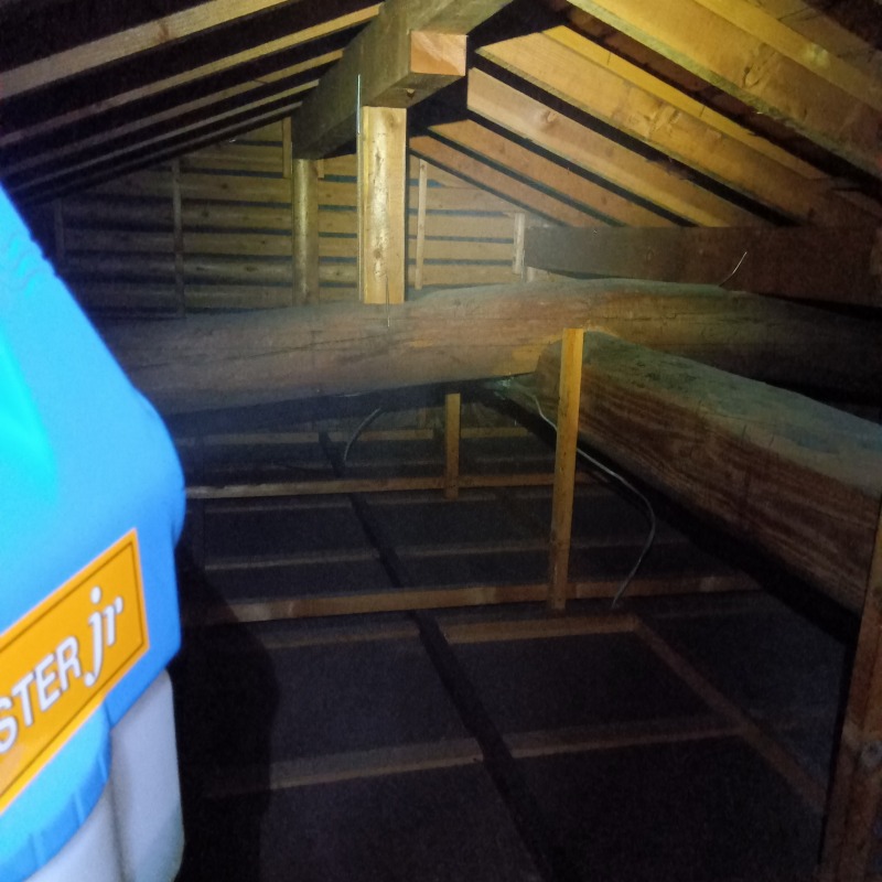 屋根裏に除菌・消臭剤を散布