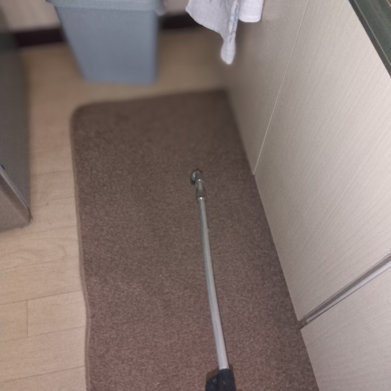 除菌・殺虫剤散布の様子