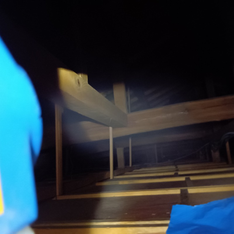 屋根裏に除菌・殺虫剤を散布する様子