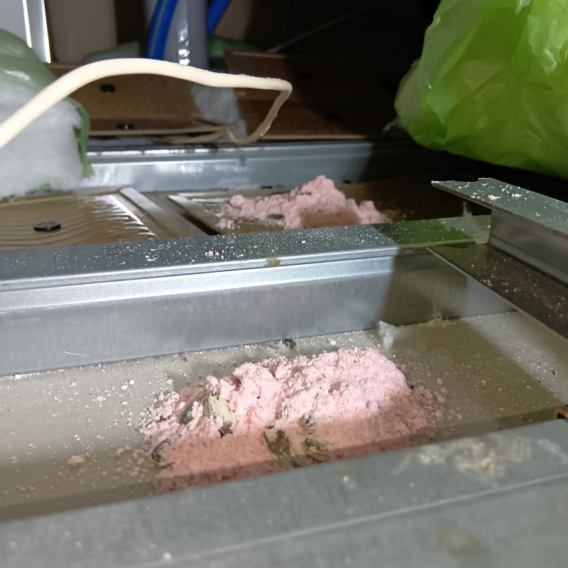 天井裏に設置した殺鼠剤と粘着シート