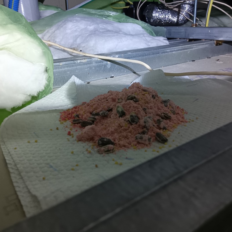 天井裏に設置した殺鼠剤