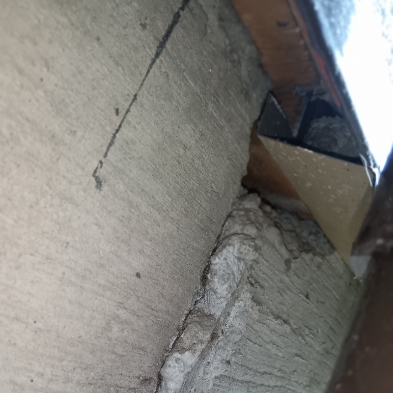 ハクビシン駆除の施工事例（神奈川県横浜市金沢区六浦）