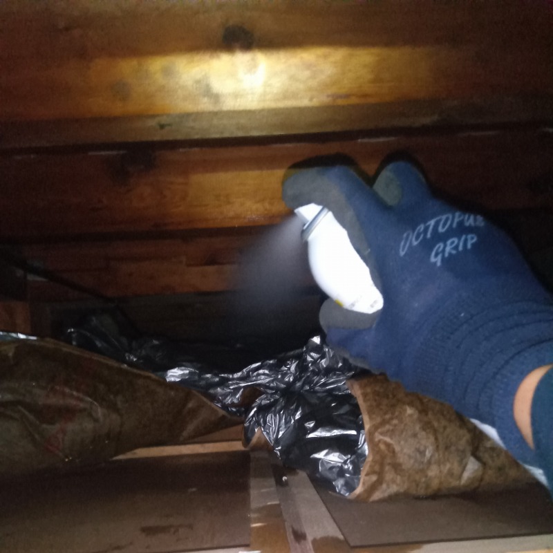 天井裏に忌避剤を散布する様子