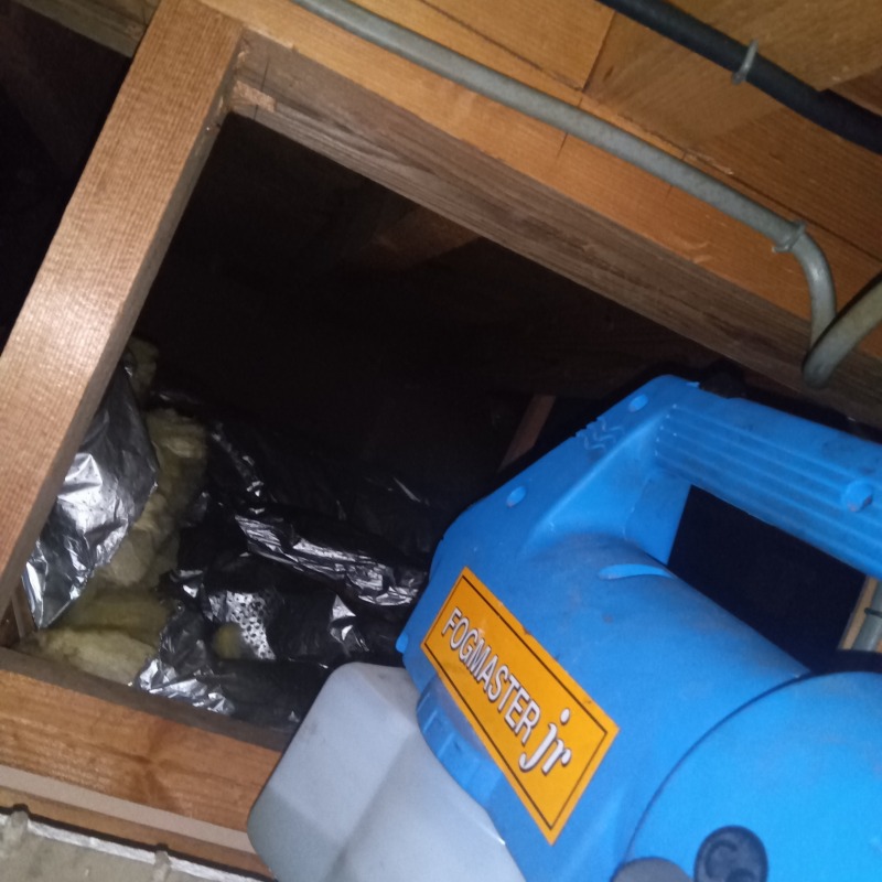 天井裏に除菌・消臭剤を散布する様子