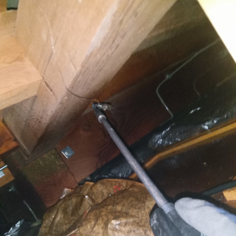 屋根裏に殺虫剤を散布する様子