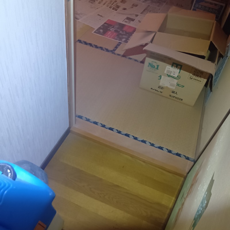 室内に除菌・殺虫剤を散布する様子