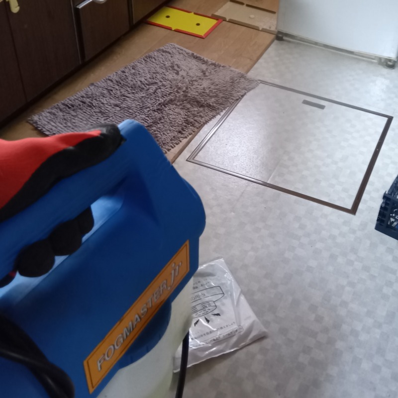 室内に除菌・殺虫剤を散布する様子