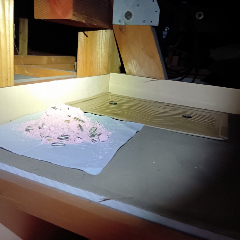 ネズミ駆除の施工事例（埼玉県さいたま市西区佐知川）