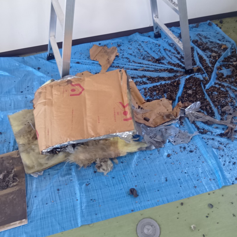 フン害清掃の様子