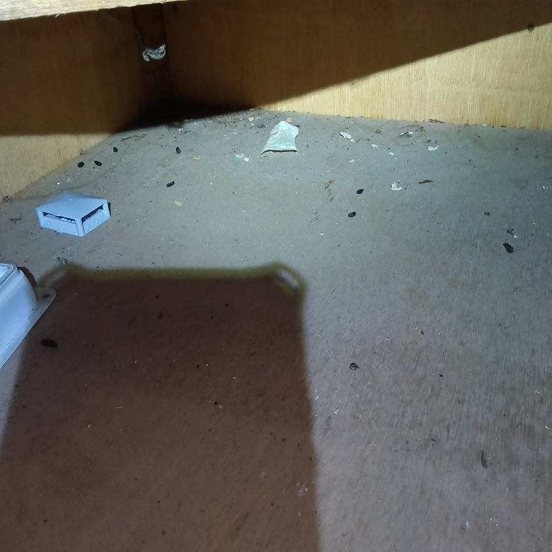 ネズミ駆除の施工事例（岐阜県関市迫間台）