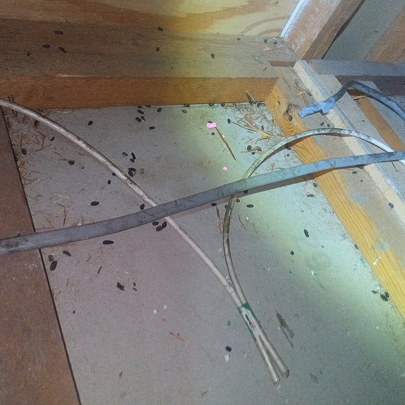 ネズミ駆除の施工事例（神奈川県横浜市戸塚区）