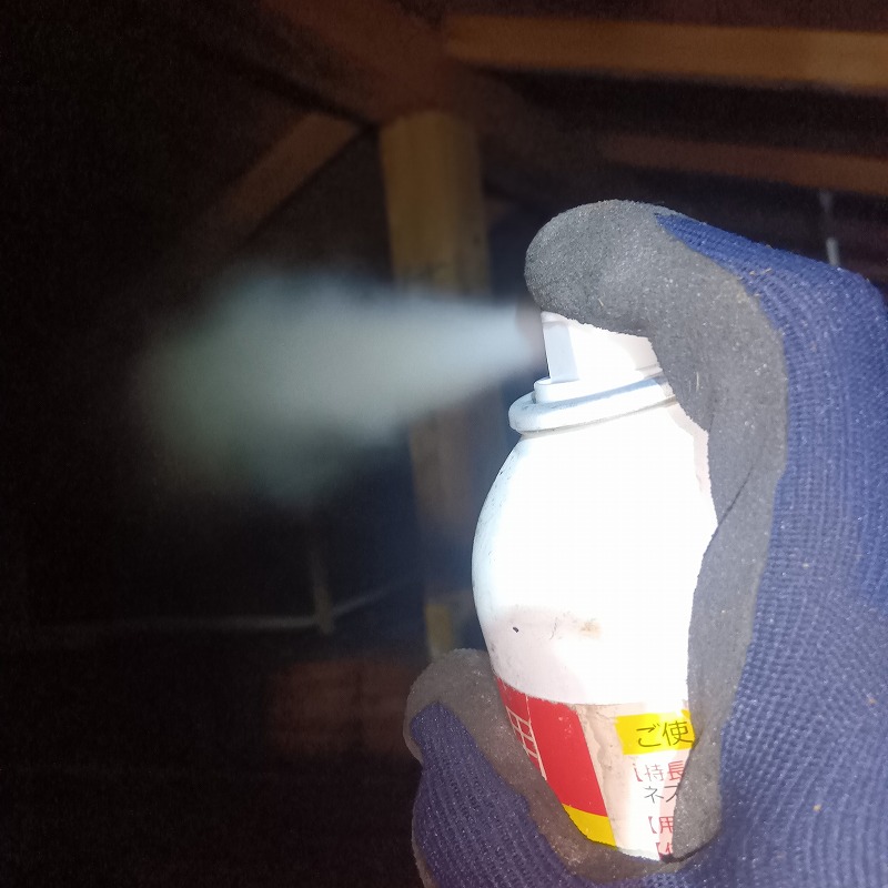 屋根裏に忌避剤を散布する様子