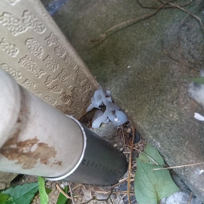 基礎部分のすき間をふさいだ様子