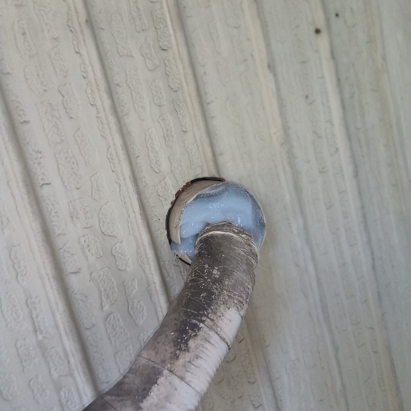 配管の隙間をふさいだ様子