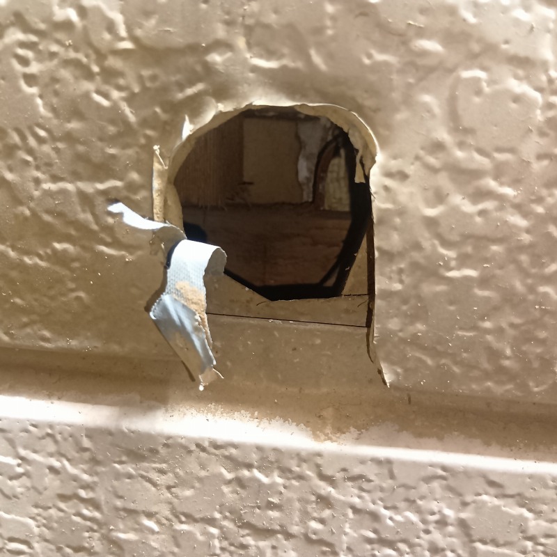 ネズミ駆除の施工事例（埼玉県入間郡三芳町藤久保）