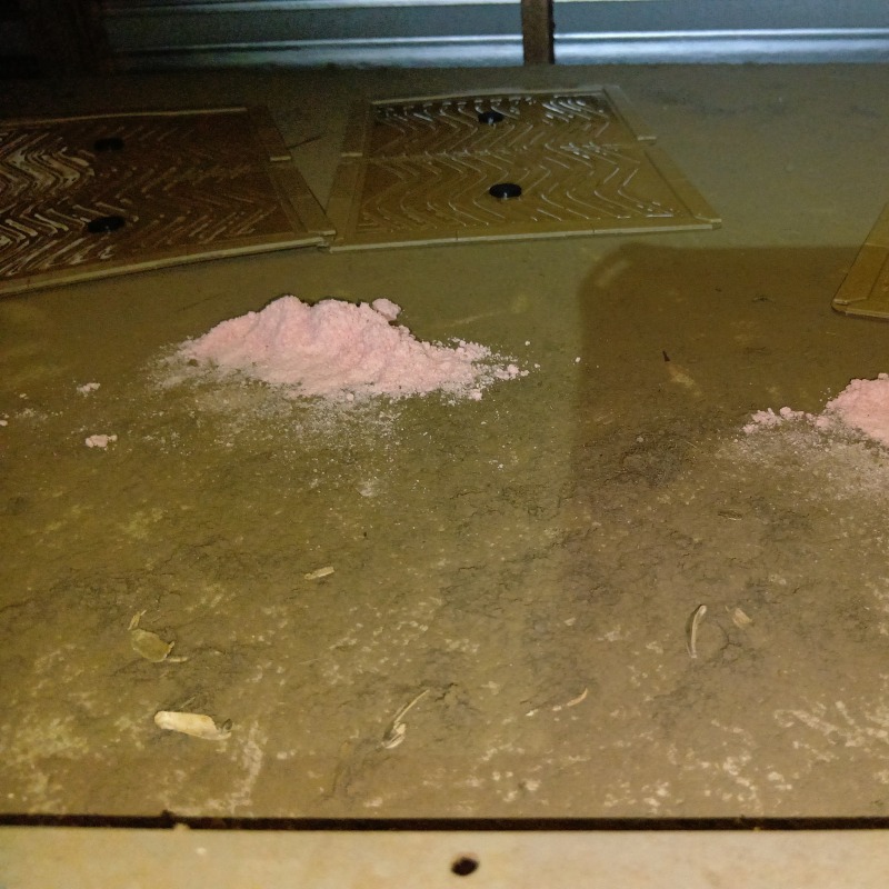 殺鼠剤と粘着シートを設置した様子