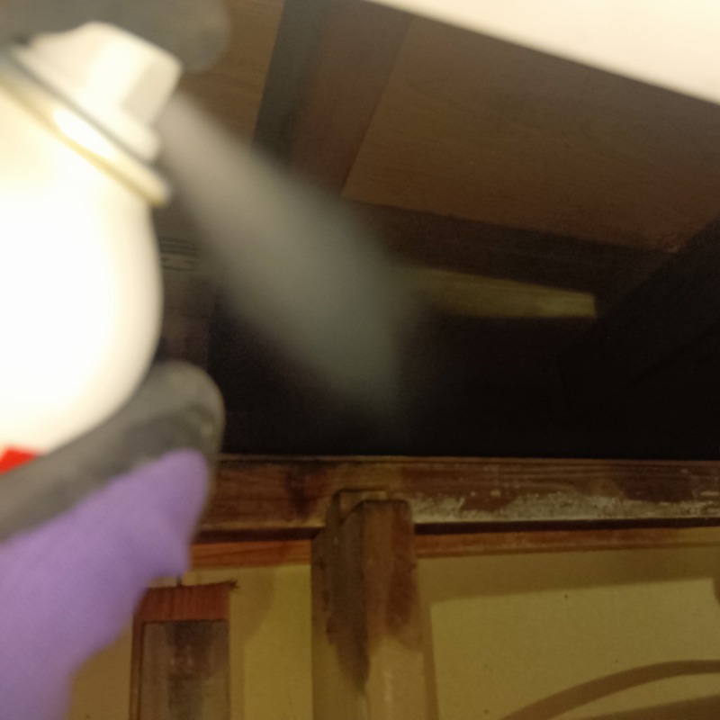 天井裏に忌避剤を散布する様子