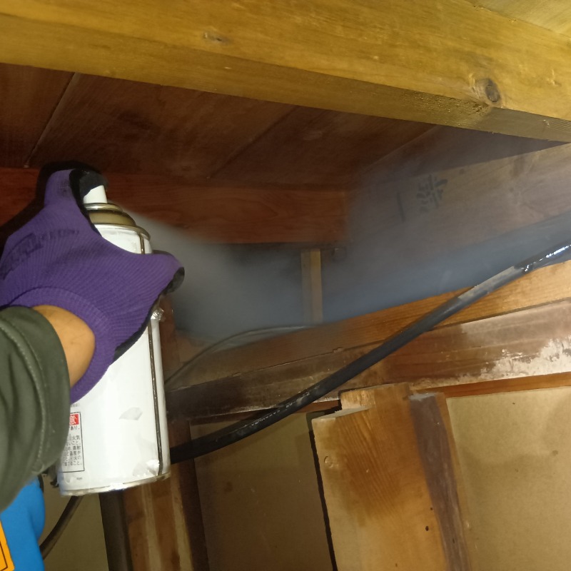 天井裏に殺虫剤を散布する様子