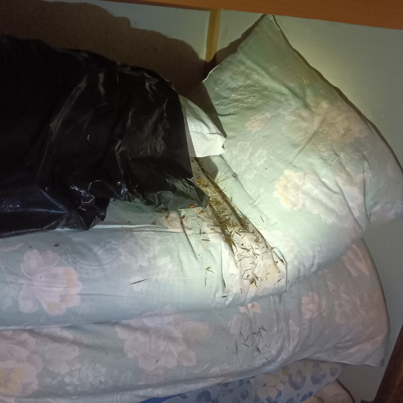 ネズミ駆除の施工事例（山梨県笛吹市一宮町末木）