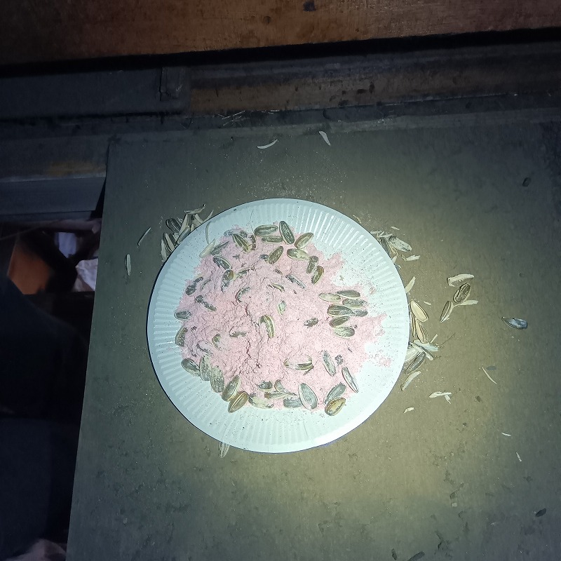 屋根裏に殺鼠剤を設置