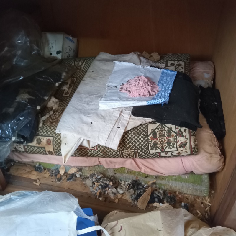 和室内に殺鼠剤を設置