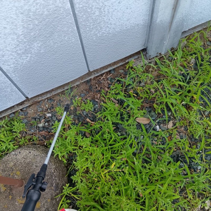 倉庫周辺に殺虫剤を散布