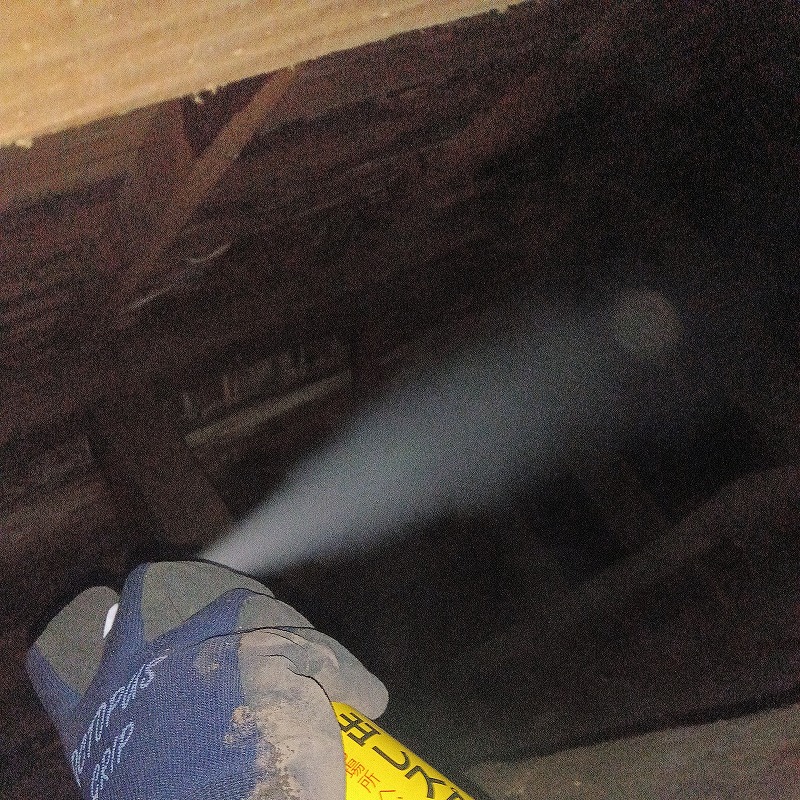 忌避剤散布の様子