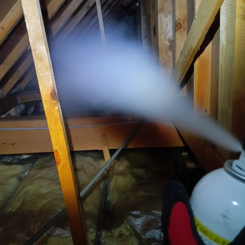 屋根裏に忌避剤を散布