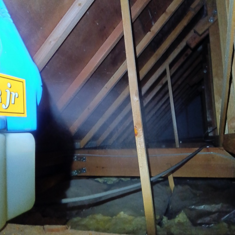 屋根裏に除菌・殺虫剤を散布